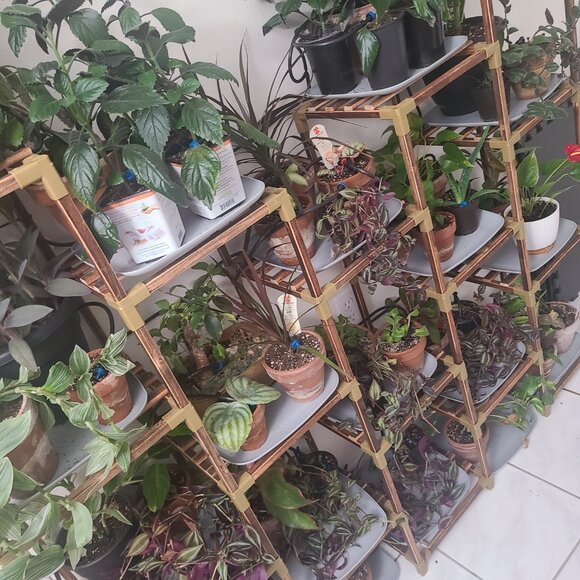 Meet your Posher, Tamara - Picture 7 of 8